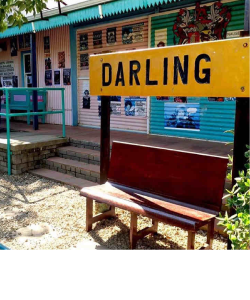 darling-01